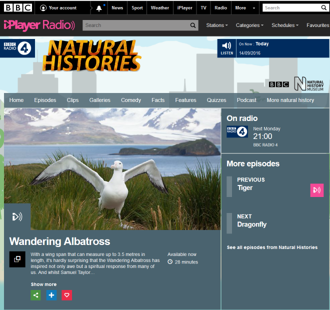 wandering-albatross_natural-histories