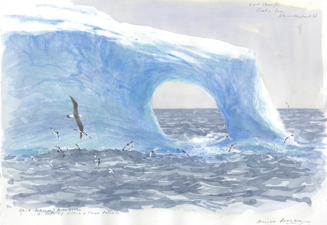 iceberg-albatrosses-petrels_1a
